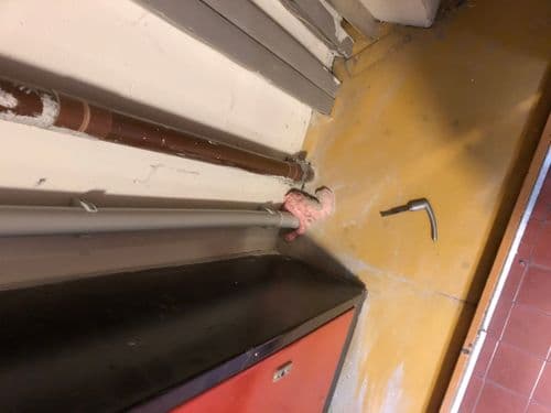 Selye iskola Széchenyi projekthez készült kép